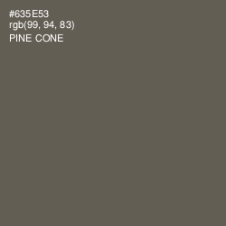 #635E53 - Pine Cone Color Image